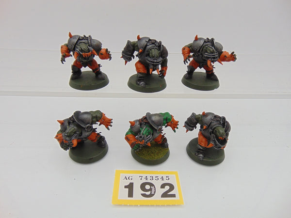 Black Orc Blood Bowl Team The Thunder Valley Greenskins