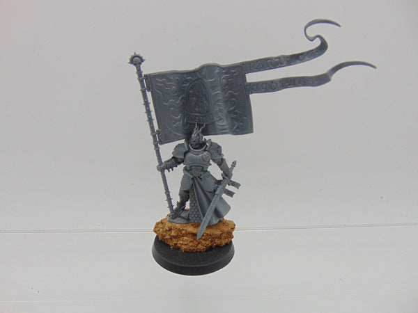 Knight Vexillor with Banner of Apotheosis