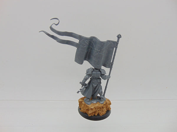 Knight Vexillor with Banner of Apotheosis
