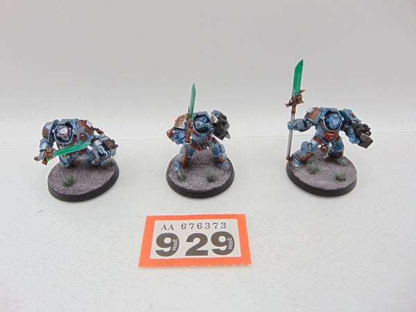 Terminator / Paladin Squad