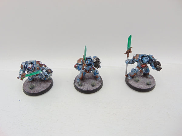 Terminator / Paladin Squad