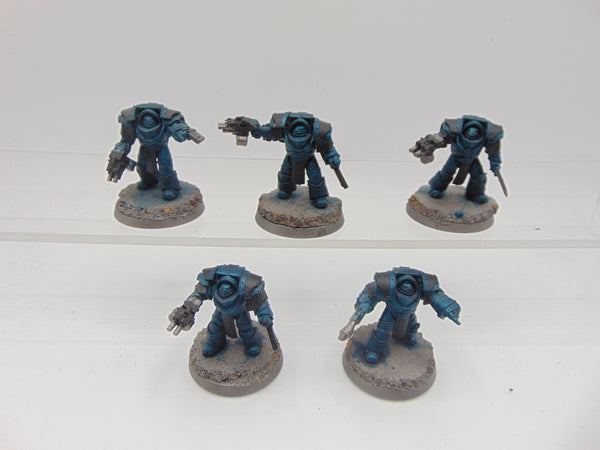 Cataphractii Terminator Squad