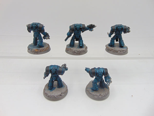 Cataphractii Terminator Squad