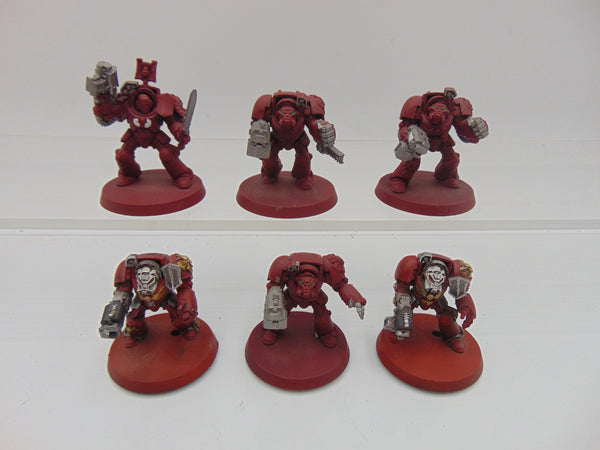 Terminator Squad