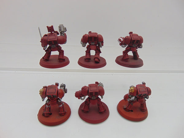 Terminator Squad