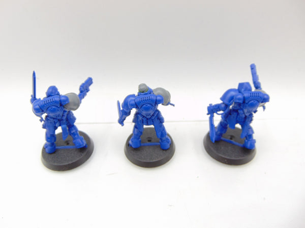 Primaris Reivers