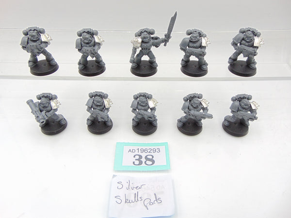 Silver Skulls Tactical Squad