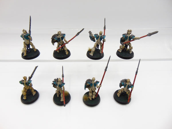 Mortek Guard