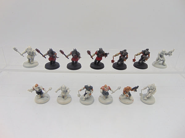 Chaos Cultists