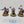 Sequitors
