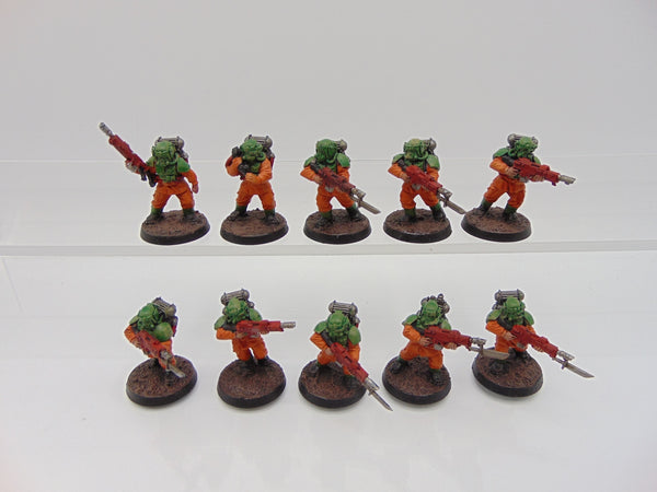 Hostile Environment Guardsmen Squad