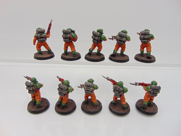 Hostile Environment Guardsmen Squad