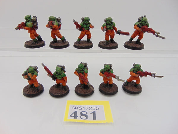 Hostile Environment Guardsmen Squad