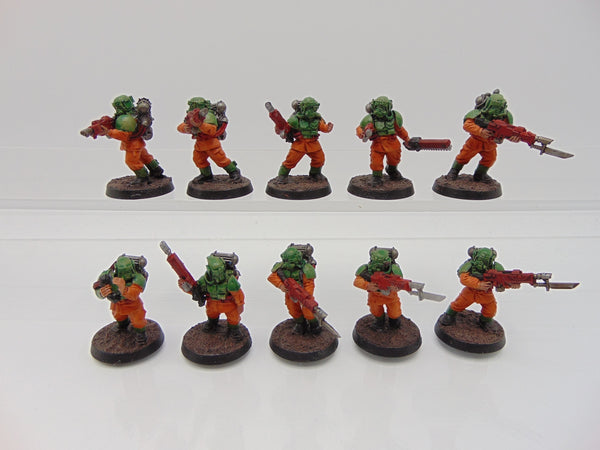 Hostile Environment Guardsmen Squad