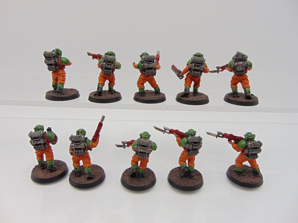 Hostile Environment Guardsmen Squad