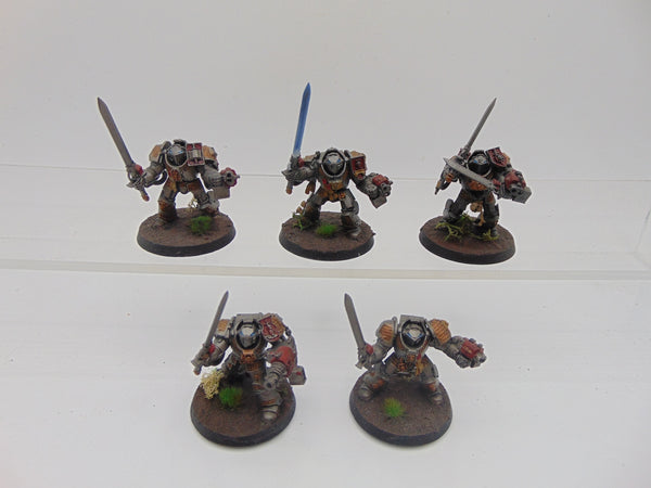 Terminator / Paladin Squad