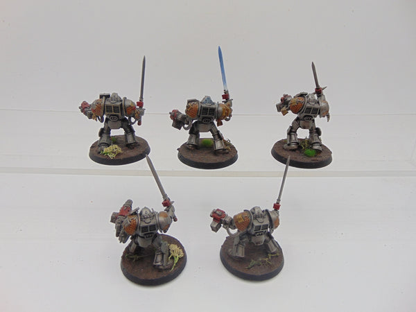 Terminator / Paladin Squad