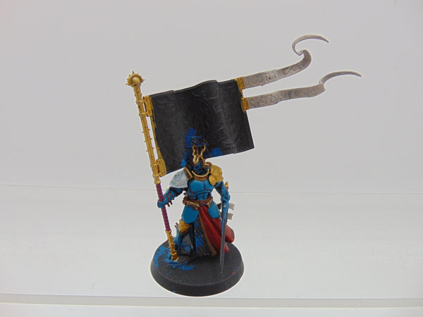 Knight Vexillor with Banner of Apotheosis