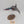 Razorwing Jetfighter