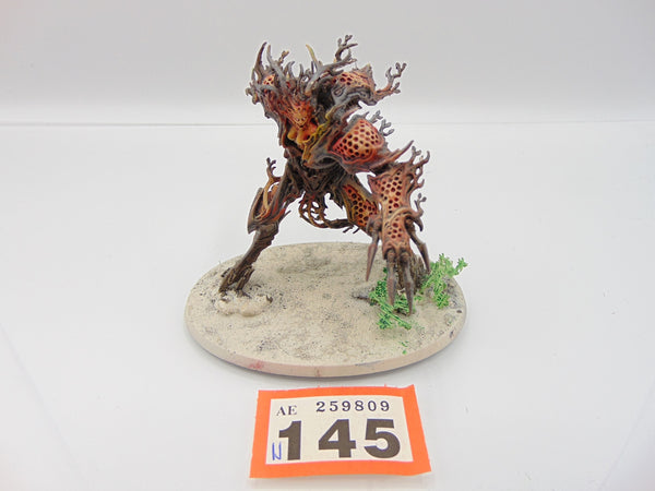 Drycha Hamadreth