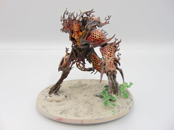 Drycha Hamadreth