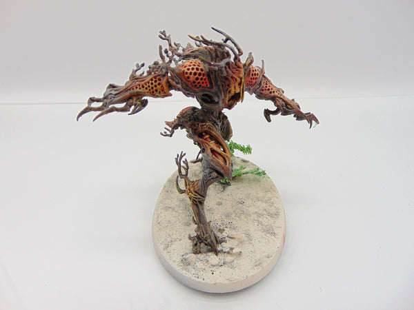 Drycha Hamadreth