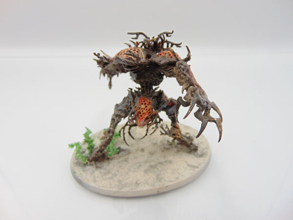 Drycha Hamadreth