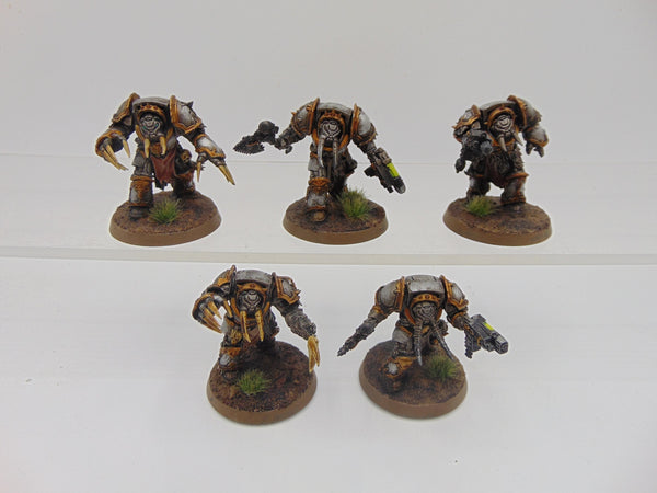 Chaos Terminators