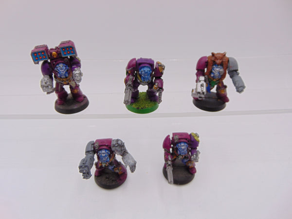 Wolf Guard Terminators