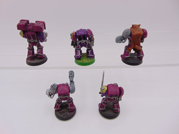 Wolf Guard Terminators