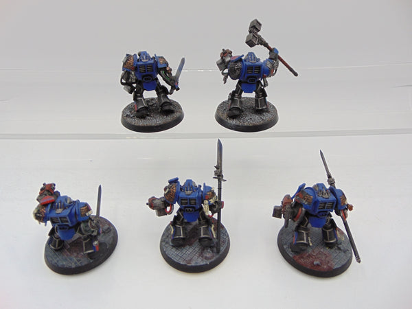 Terminator / Paladin Squad