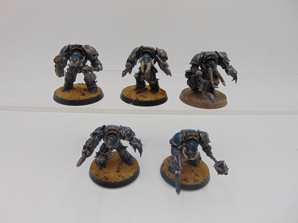 Chaos Terminators