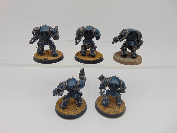 Chaos Terminators