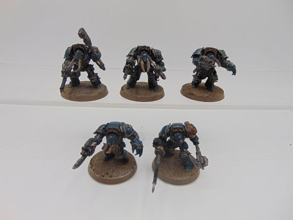 Chaos Terminators