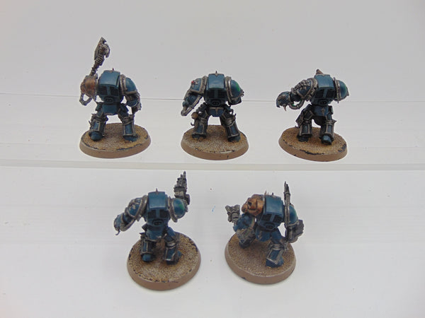 Chaos Terminators