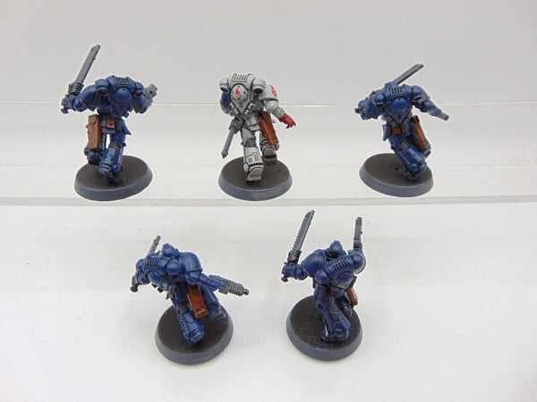 Assault Intercessors