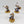 Sequitors