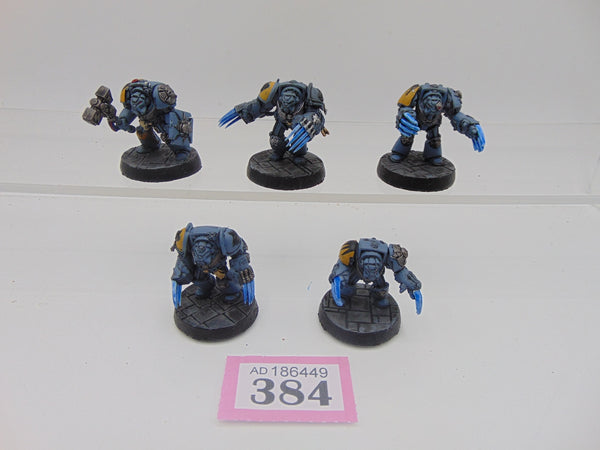 Space Wolf Terminators