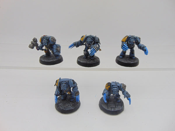 Space Wolf Terminators