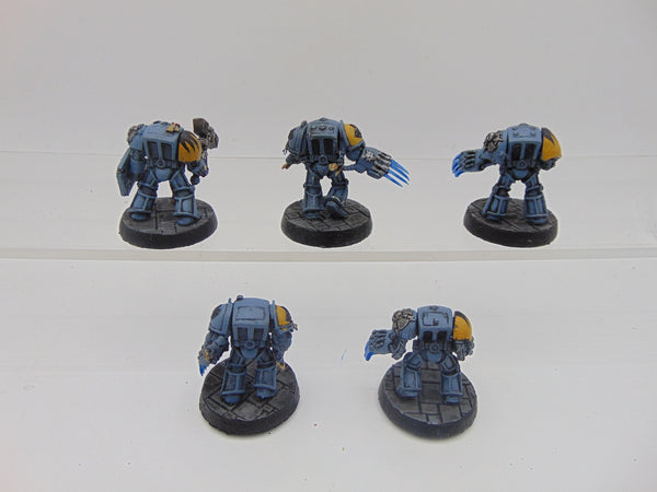 Space Wolf Terminators