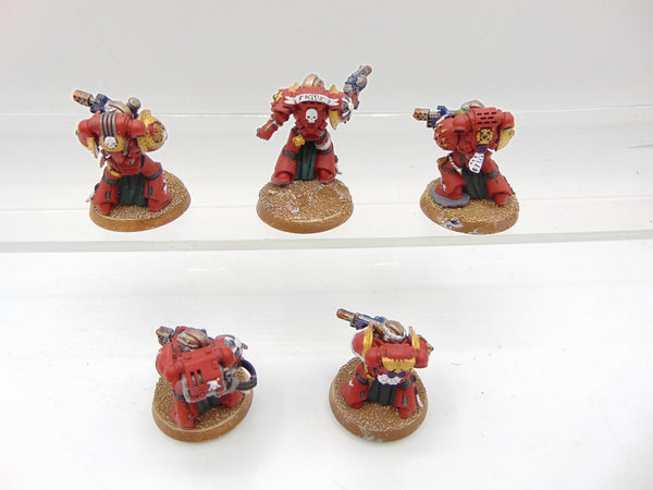 Sternguard Veteran Squad