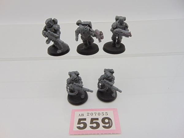 Tempestus Scions