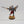 Seraphim Superior