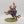 Lord Arcanum on Gryph Charger