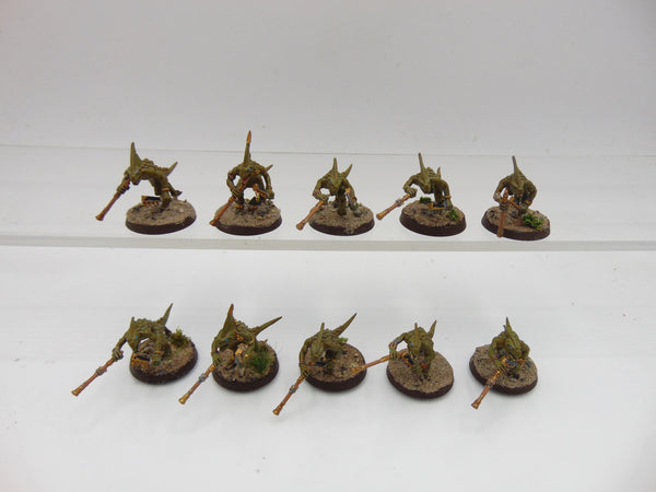 Skinks