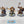 Sequitors