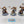 Sequitors