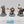 Sequitors