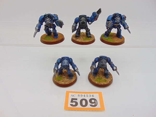 Terminator Assault Squad