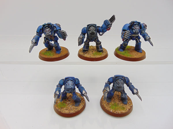 Terminator Assault Squad